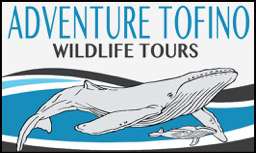 Adventure Tofino Wildlife Tours