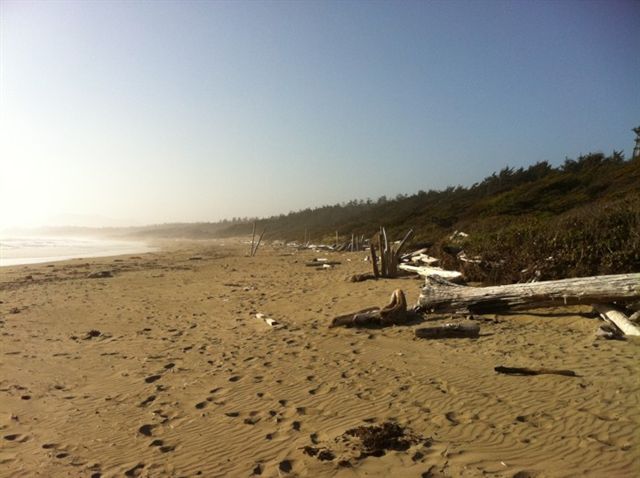 Wickaninnish Beach