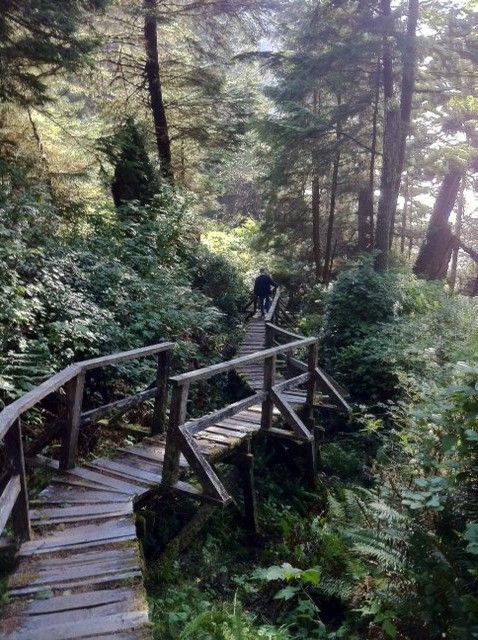 Halfmoon Bay Trail