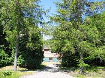 A Balsam / Tamarack House 