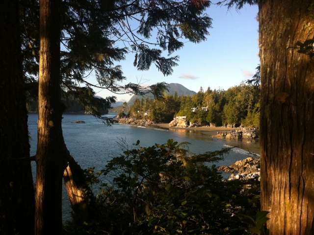 Tofino Lighthouse Trail